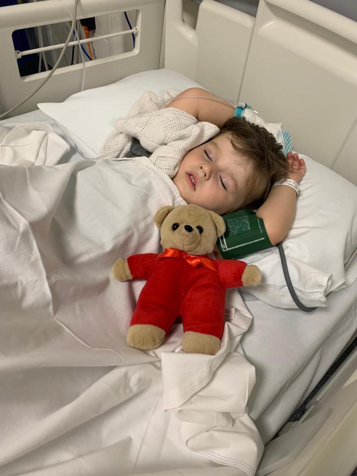 Lewis Wise, 3, in his hospital bed after being bitten by an adder snake