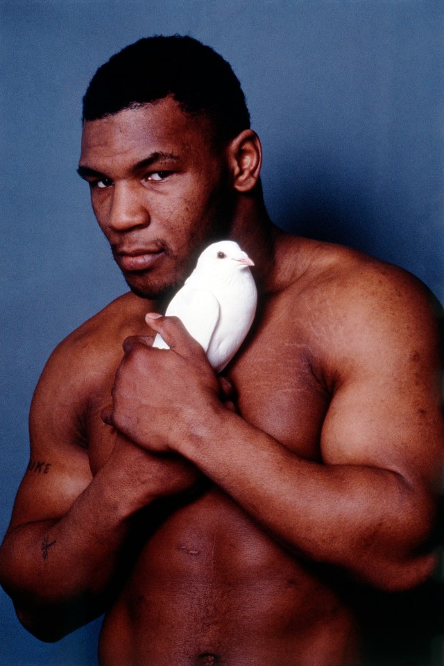 Mike Tyson pictured with his tumbler pigeon during a photoshoot