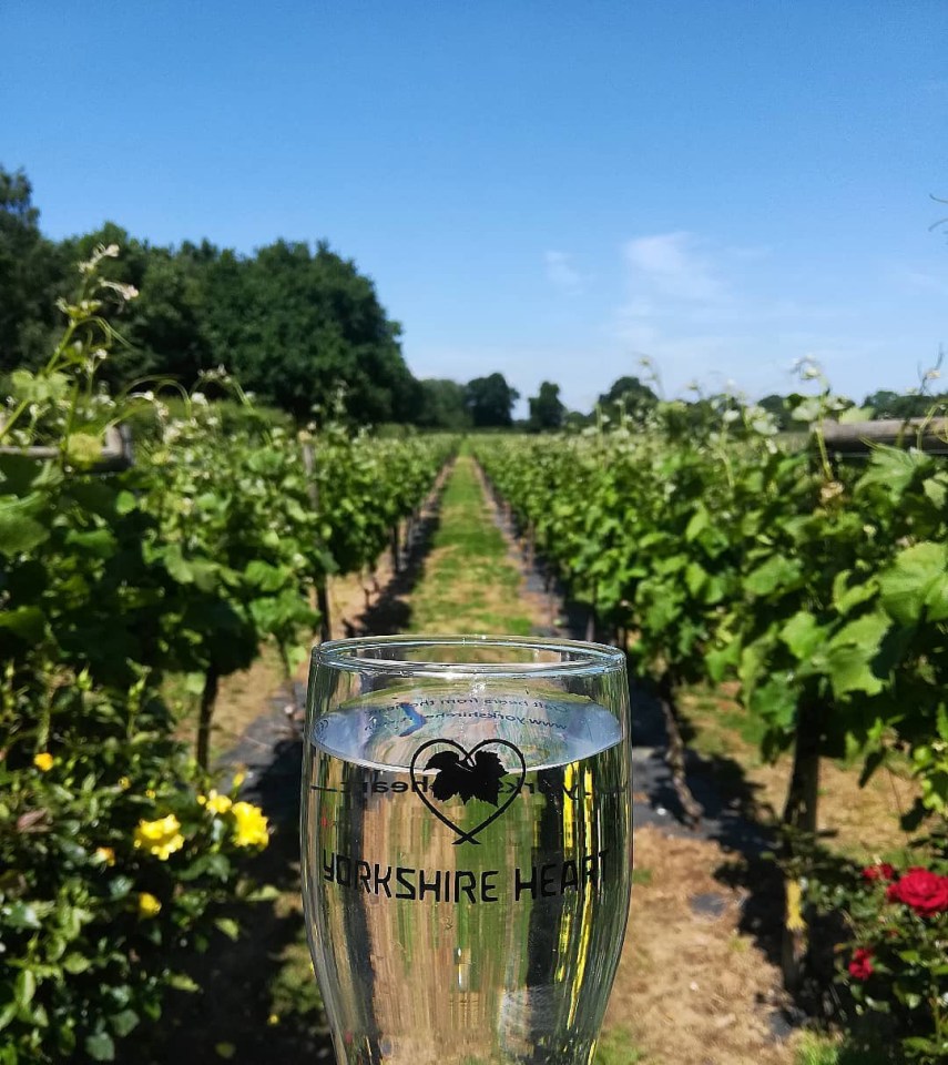 Yorkshire Heart Vineyard and Brewery outside York (12) for a glass of award-winning wine