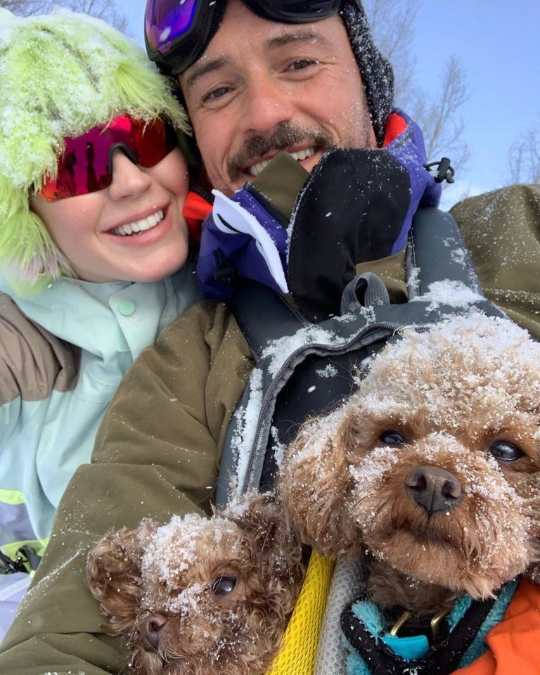 Orlando and fiancée Katy took the pup on a skiing holiday earlier this year