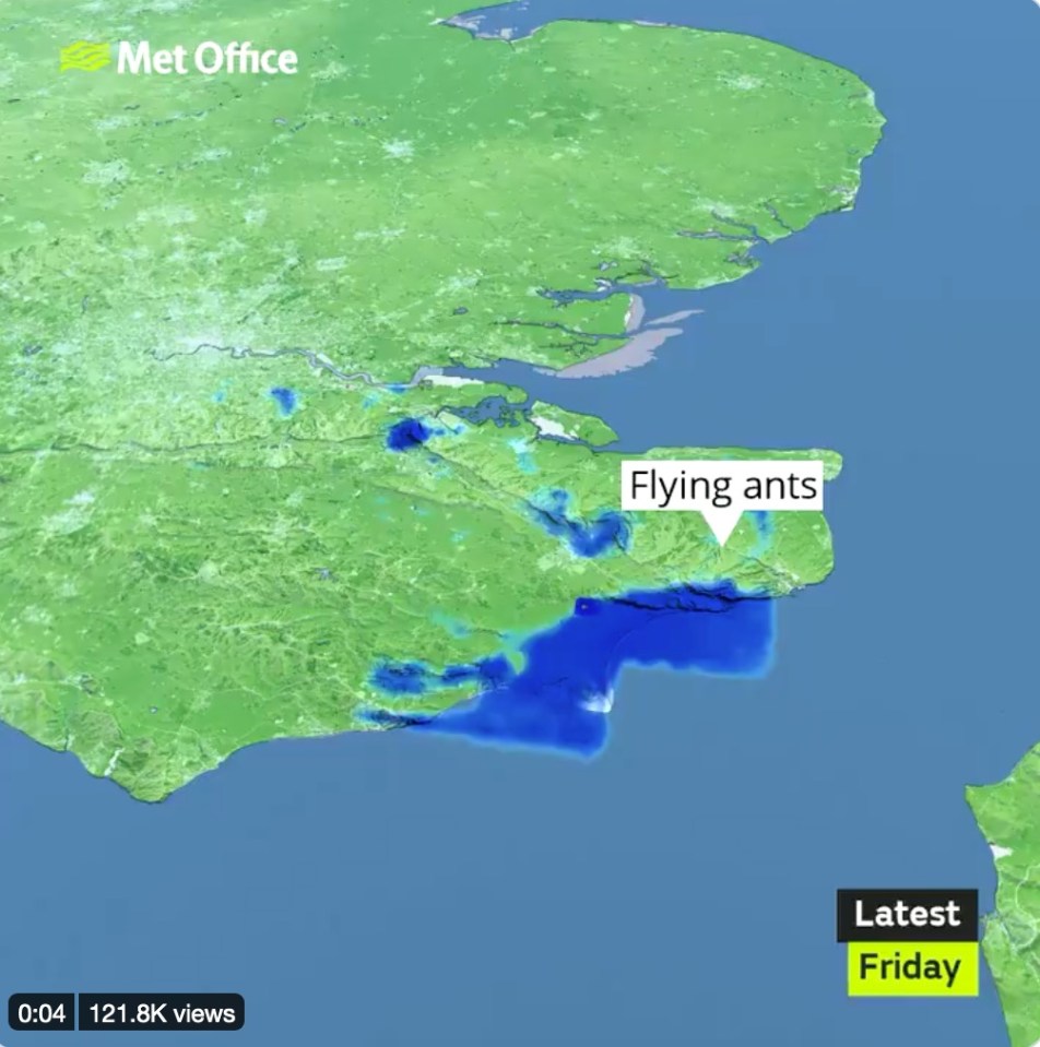 The ;swarm of flying ants’ was picked up off the southern coast earlier today and mistaken for approaching rain