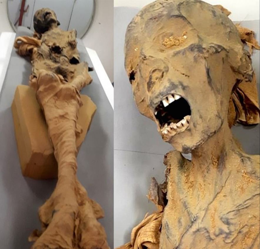 A mummy found embalmed screaming in terror has been revealed as an Egyptian Princess