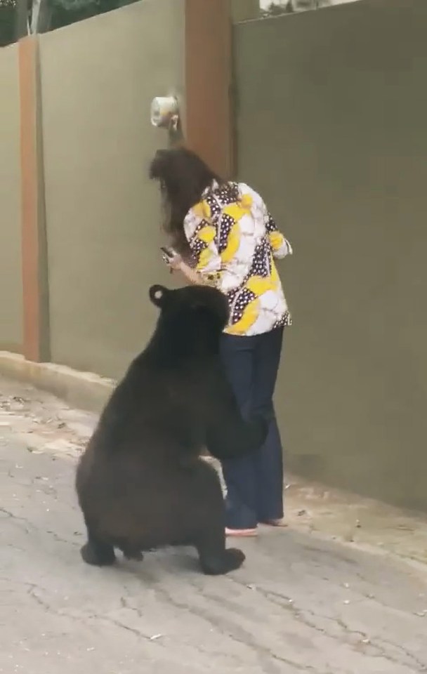 The bear followed her as she tried to turn away 