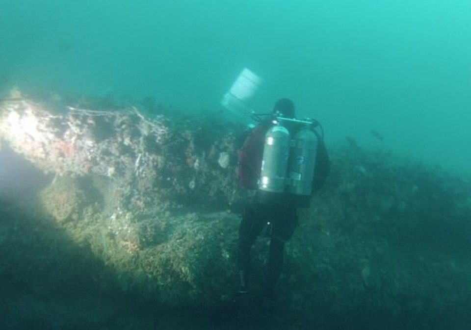 Other blue holes have been the subject of previous studies because of the creatures found inside