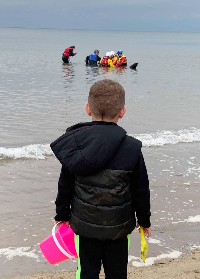 Beach-goers were shocked to see the 15ft fish so close to the shore