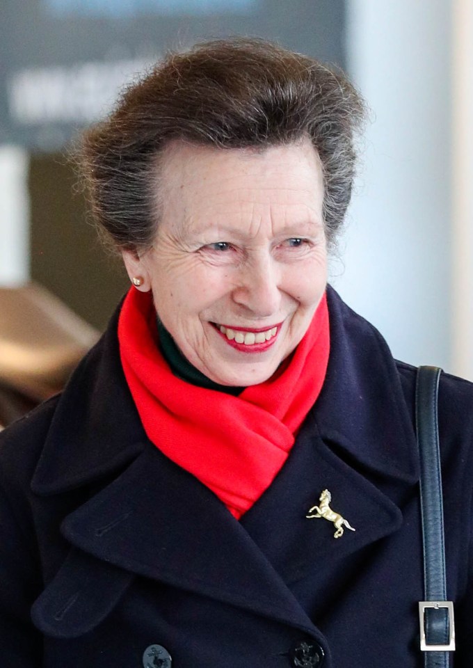 Princess Anne would tell the royal children not to 'pick their noses or yawn' when appearing on the Buckingham Palace balcony