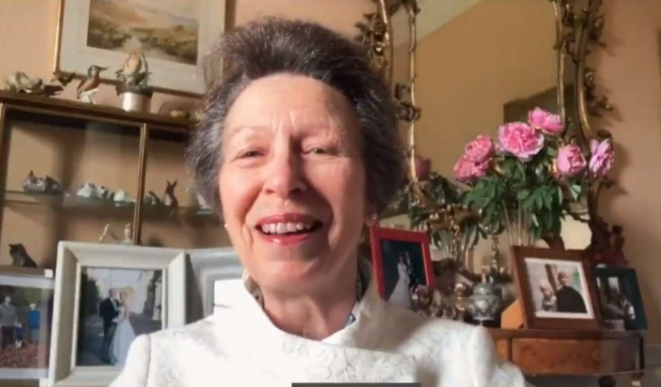 Anne waiting for Her Maj, 94, to enter the call from Windsor Castle