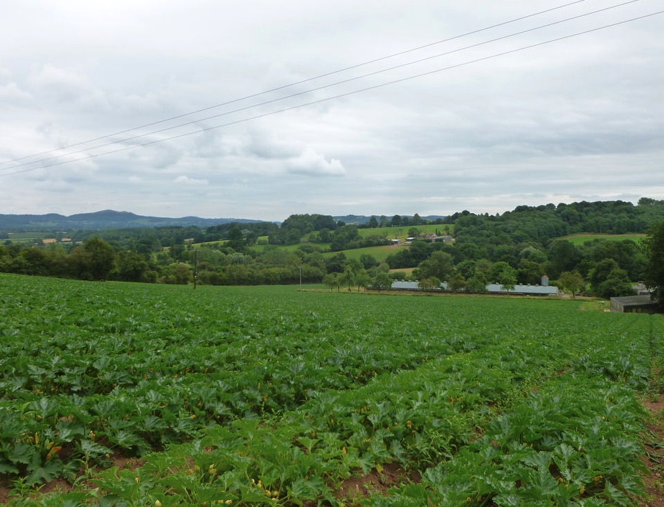 Workers on the farm are now isolating after 73 tested positive for coronavirus