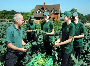 The farm has dozens of workers staying on site for harvest (file photo from website - no suggestion the people pictured have the virus)