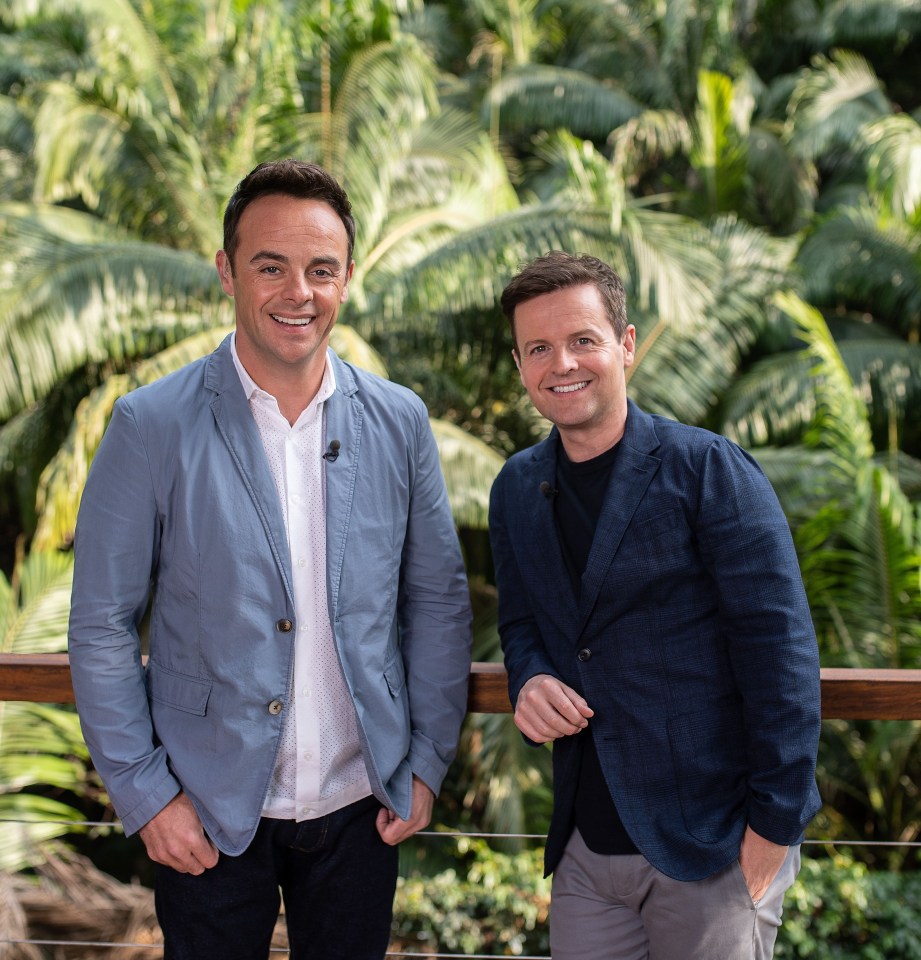 Ant and Dec have been warned over seagull 'muggings' during the new season of I'm A Celebrity, Get Me Out of Here