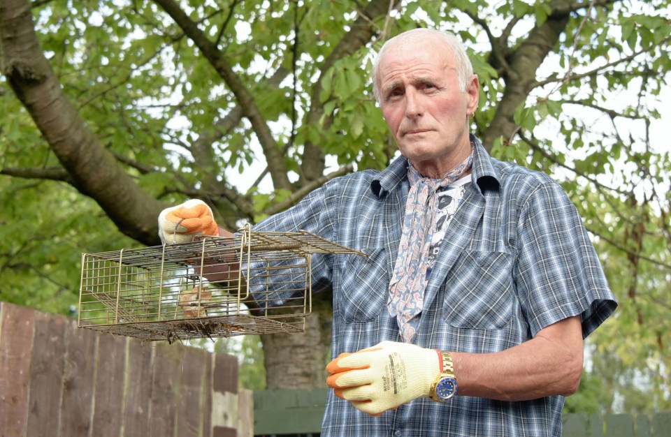 Local resident Jimmy Smart claims he has been catching two or three rats a day on the street