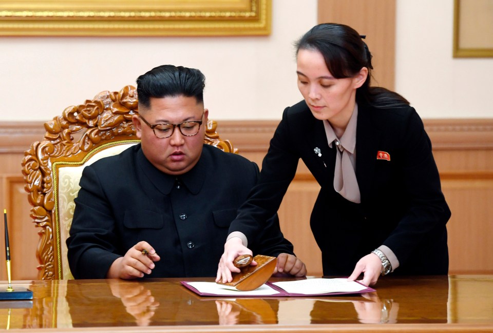 A diplomat claims Kim's recent appearances have been faked