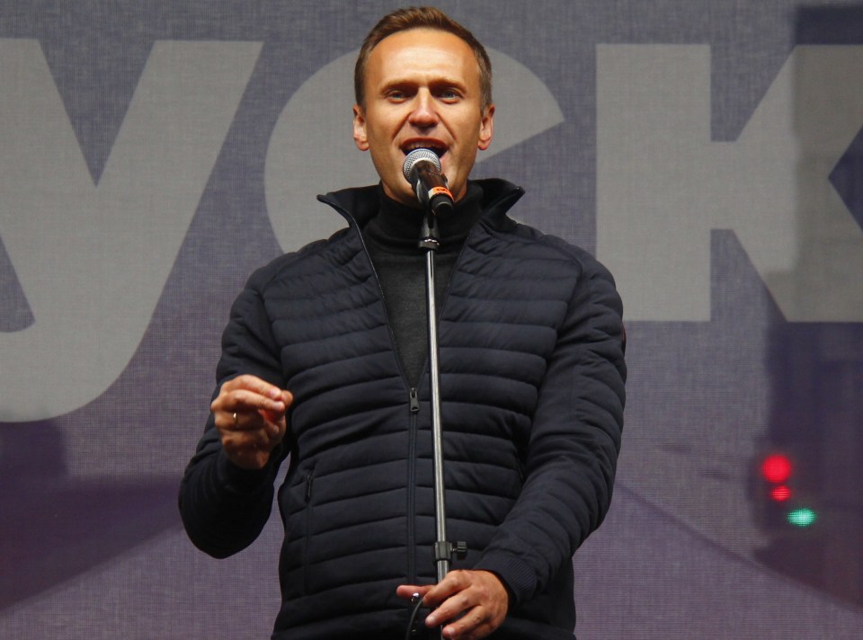 Alexei Navalny is fighting for his life after a 'poisoning'