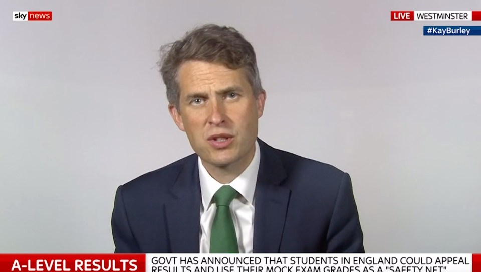 Gavin Williamson admitted the appeals process is "not ready"