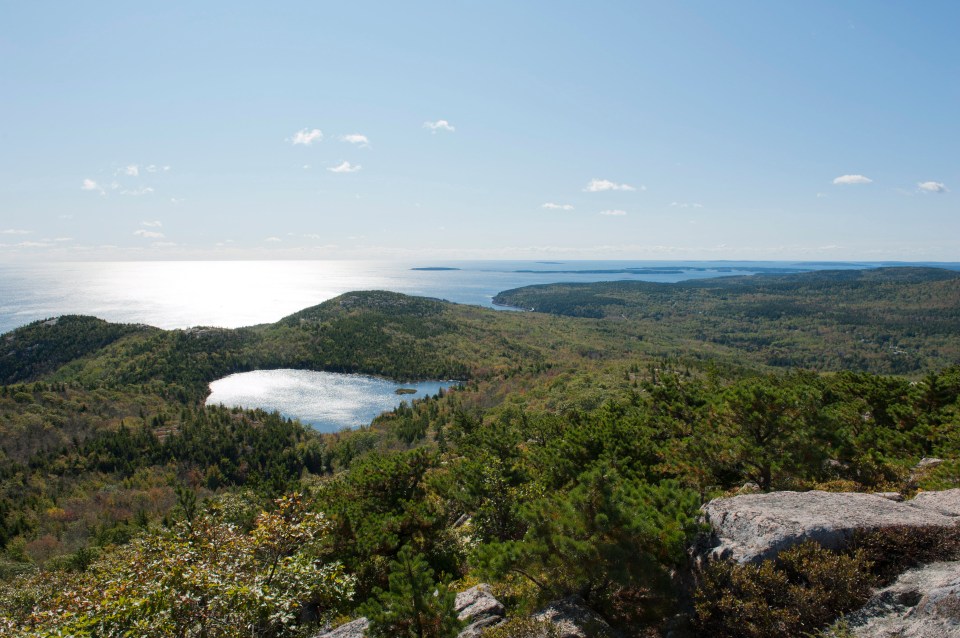 The bodies of the victims were dumped in Bear Brook state park, New Hampshire