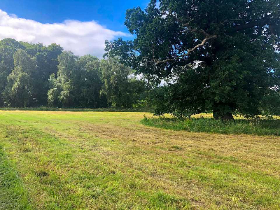 Farms-turned-campsites still offer facilities such as toilets and shower blocks