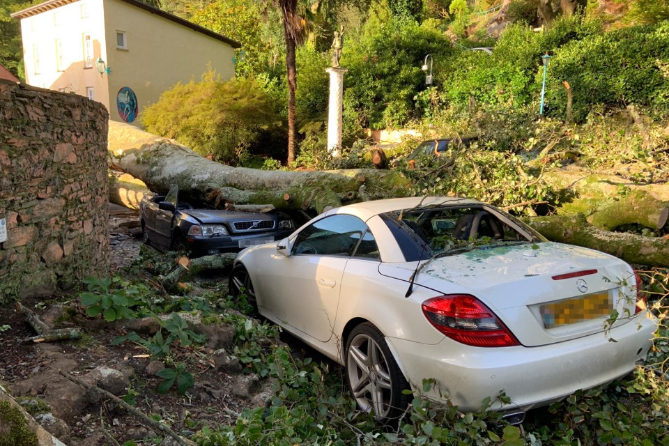 Trees fell onto cars at the Welsh village of Portmeirion