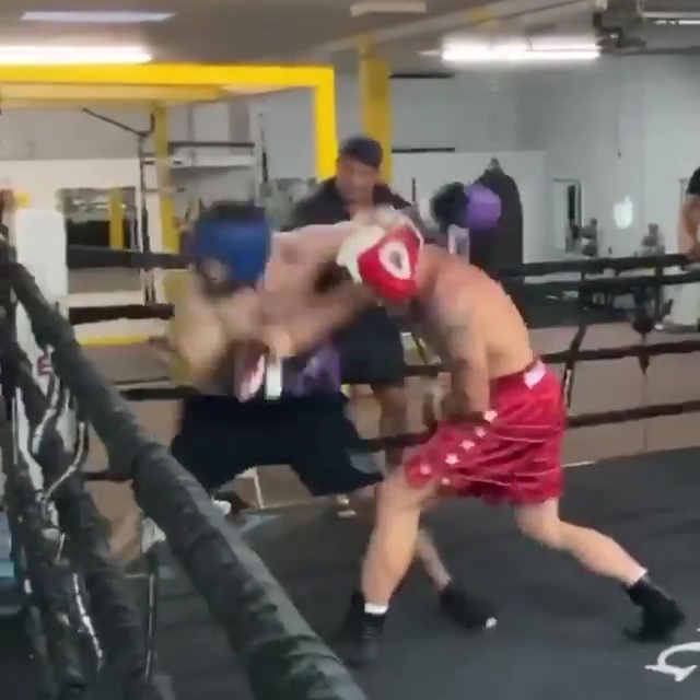 Jake Paul dropped a sparring partner in the gym 