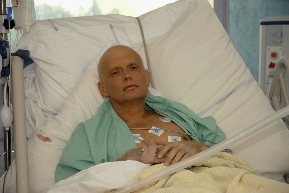 Ex-spy Alexander Litvinenko died in agony after his tea was poisoned in 2006