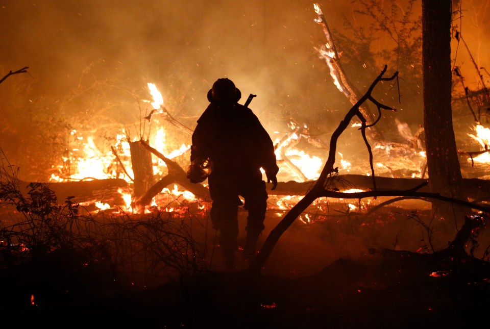 Brazil recorded record fires in August 2019 that wiped out vast swathes of the Amazon rainforest