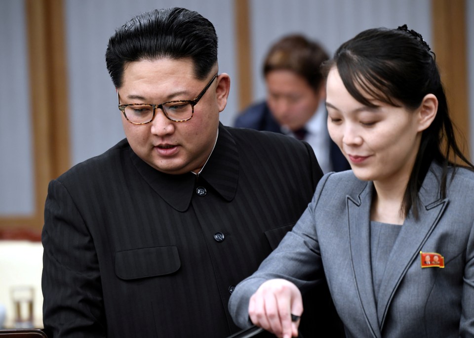 Kim Jong-un is critically ill and has handed over powers to his sister Kim Yo-jong, it has been claimed