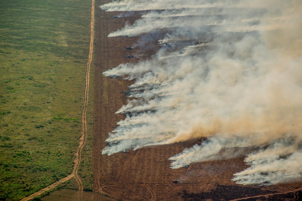 More than 1,000 fires were registered in the Amazon rainforest on July 30