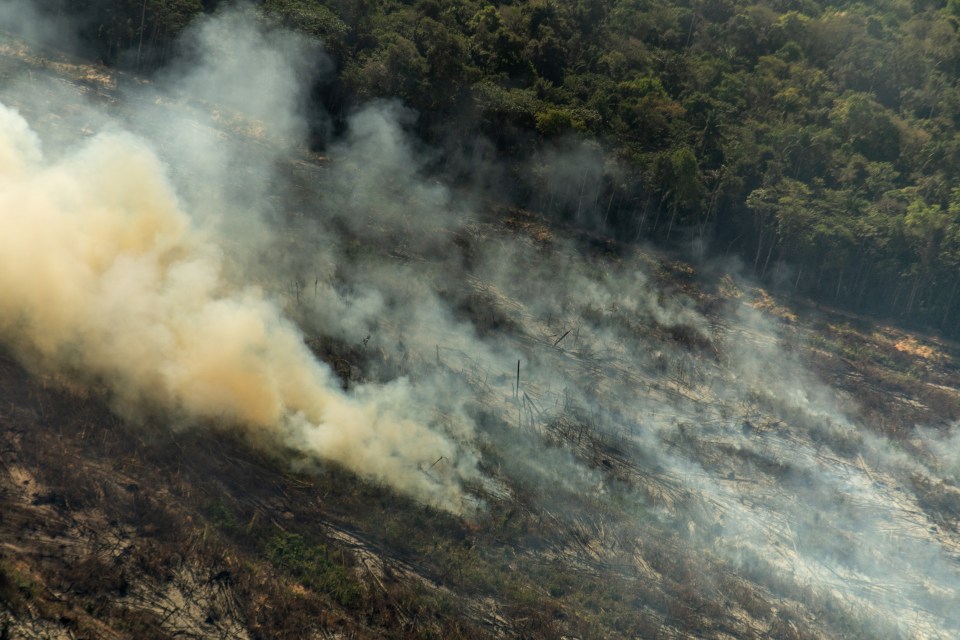 The Amazon is about to enter its annual 'fire season', which typically begins in August