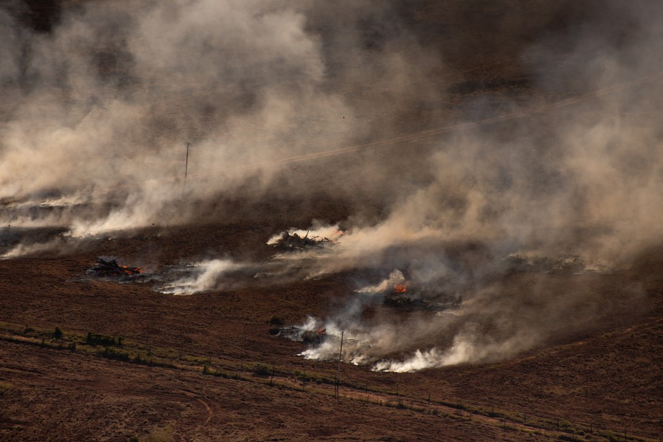 The National Institute for Space Research (Inpe) recorded 6,803 fires in the Amazon last month, up from 5,318 in July 2019