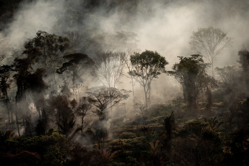 Fires erupted across the Amazon rainforest last month, according to a new report