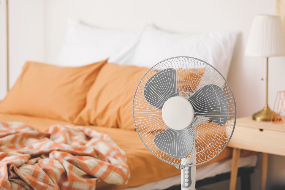 Let the cooling breeze of a fan float over your naked skin 