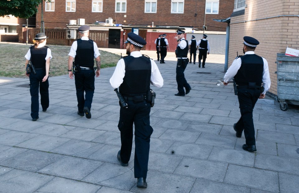 Officers from the Met's Violence Suppression Unit patrol a London housing estate