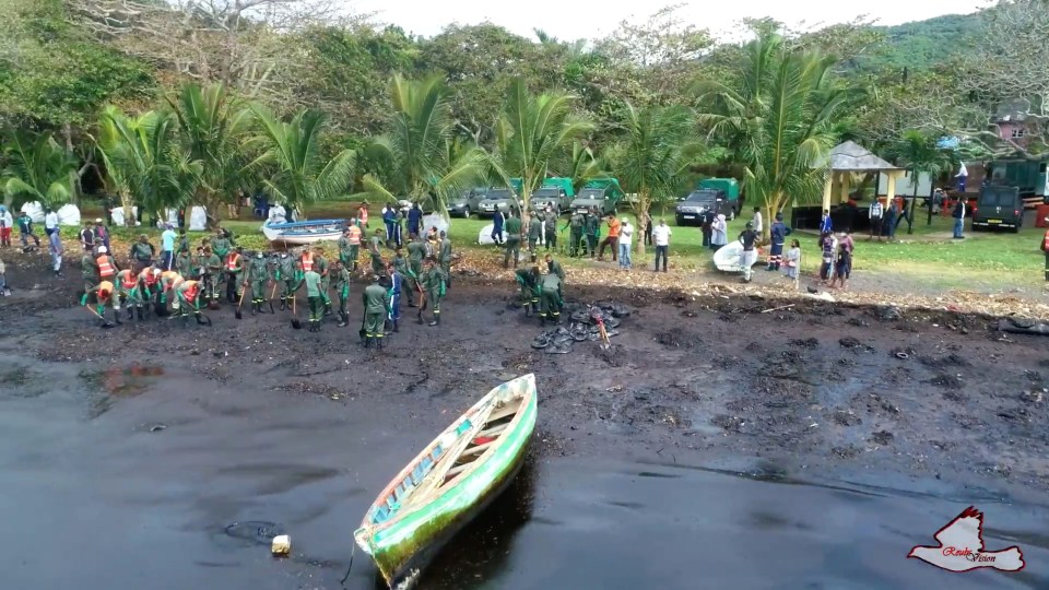 Volunteers are working to clear the stricken Mauritius coastline 