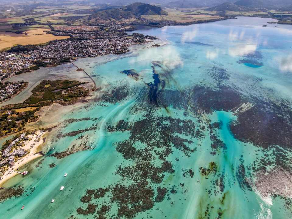 More than 1,000 tonnes oil are feared to have leaked from a Japanese ship off Mauritius