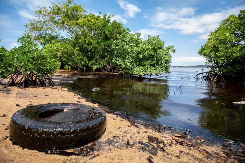 Thick black oil could be seen clogging up the shoreline