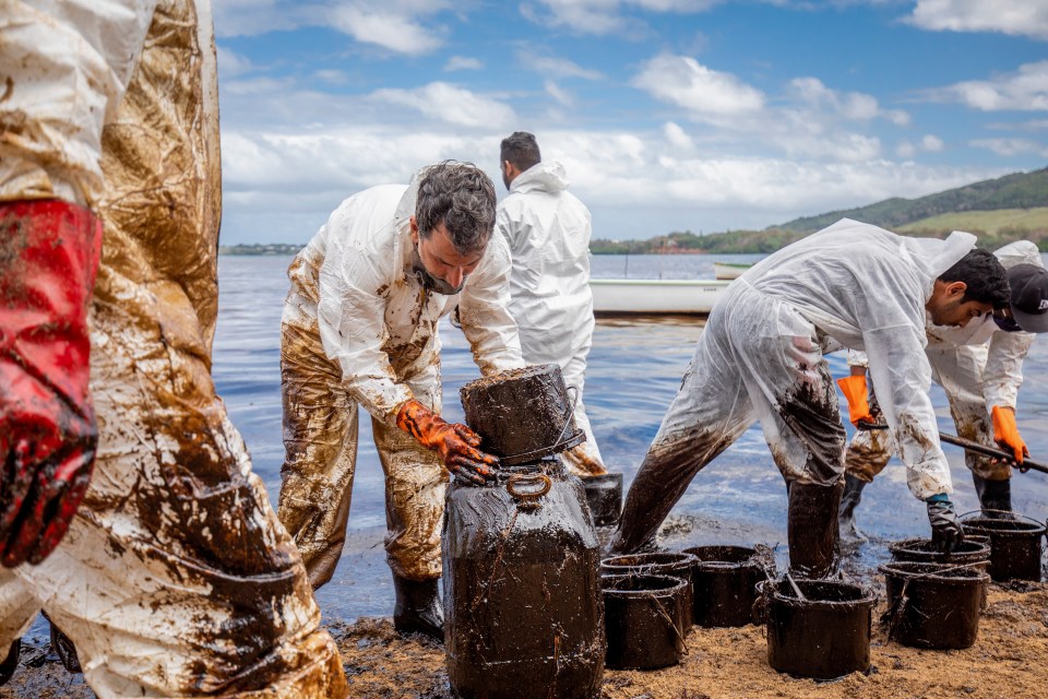 Local volunteers clean up oil washing up on the beach from the MV Wakashio