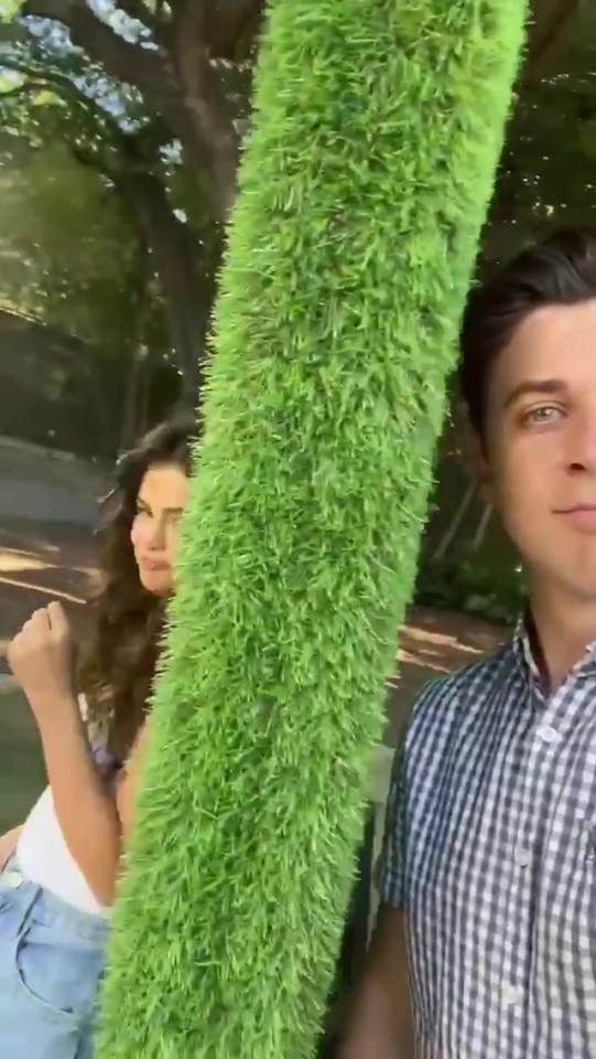 Selena Gomez and David Henrie teased fans of a reunion