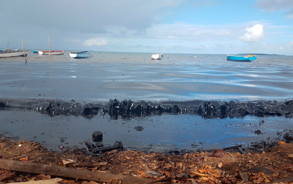 Thick fuel is clogging up the once-pristine Mauritius shoreline