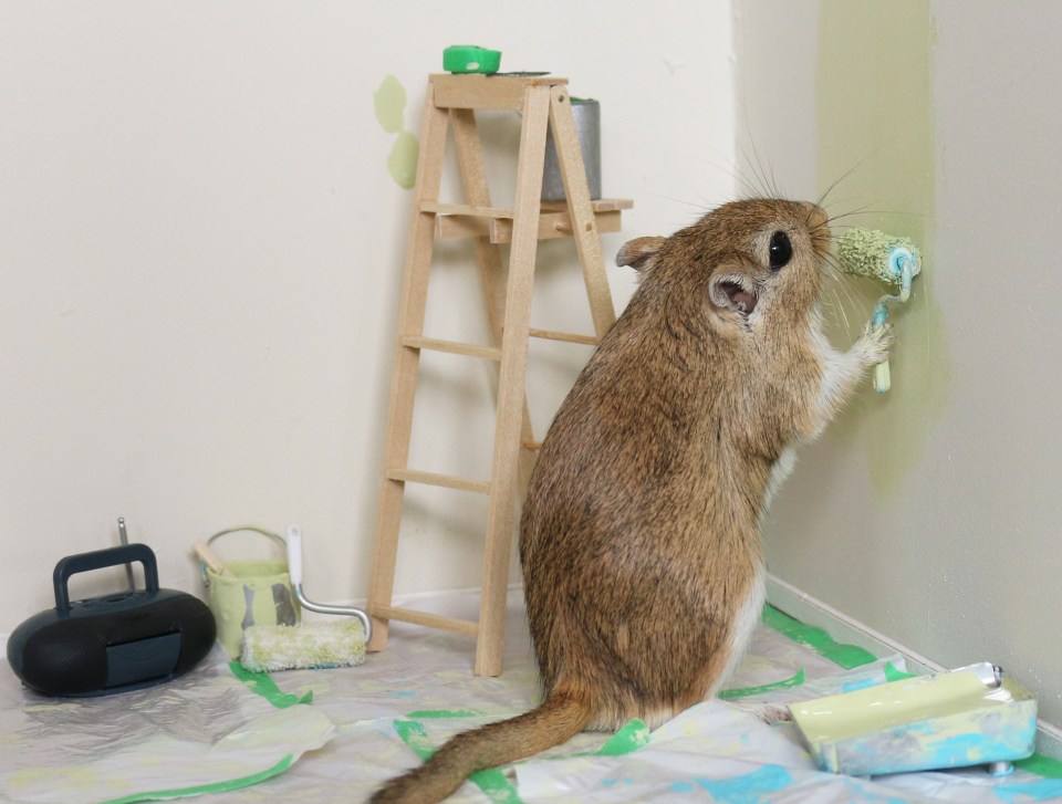 Another of the small animals gets some painting done while listening to the radio