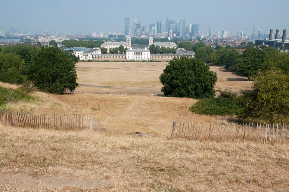 Bone-dry Greenwich Park in South London