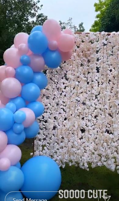 The garden was decorated with both pink and blue balloons