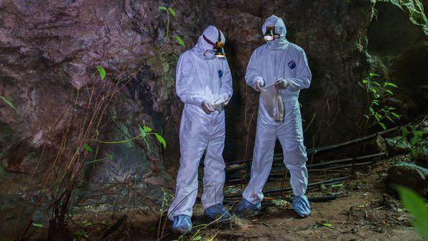 Miners working in the bat caves fell ill, reports say