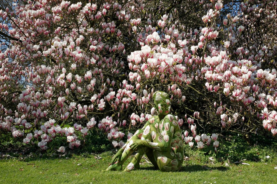 In front of a magnolia tree in the Gutspark, Hasperde