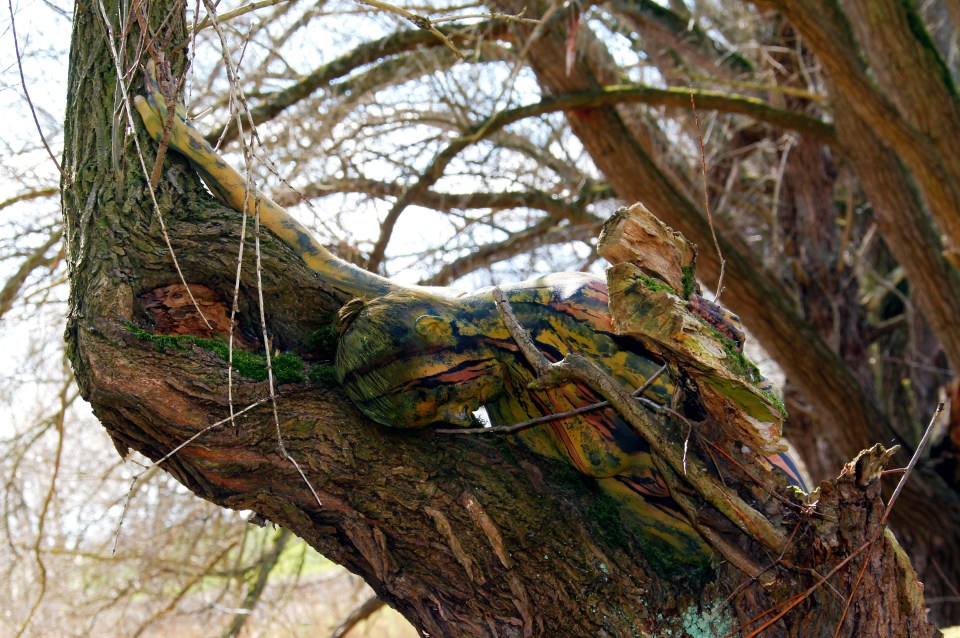 In a tree in the town of Brullsen