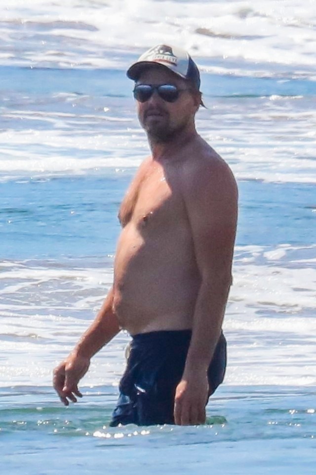 Leonardo DiCaprio has traded his sculpted physique for a 'dad bod' - and is sexier than ever to some women