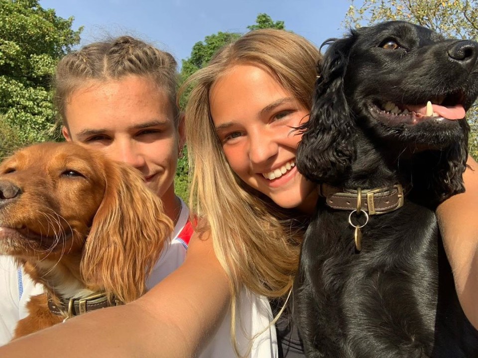 They posed with the Beckham family pets on International Dog Day