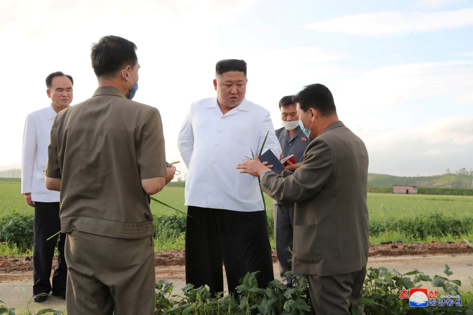 Kim visited the field after it was damaged by a typhoon this week, the secretive state says