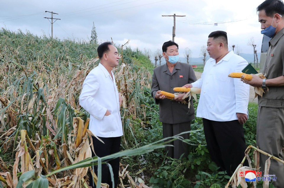 Kim Jong-un speaks to a corn farmer in pictures released by North Korea 