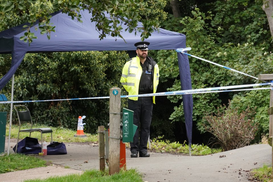 An officer stands at the scene where the bags were found