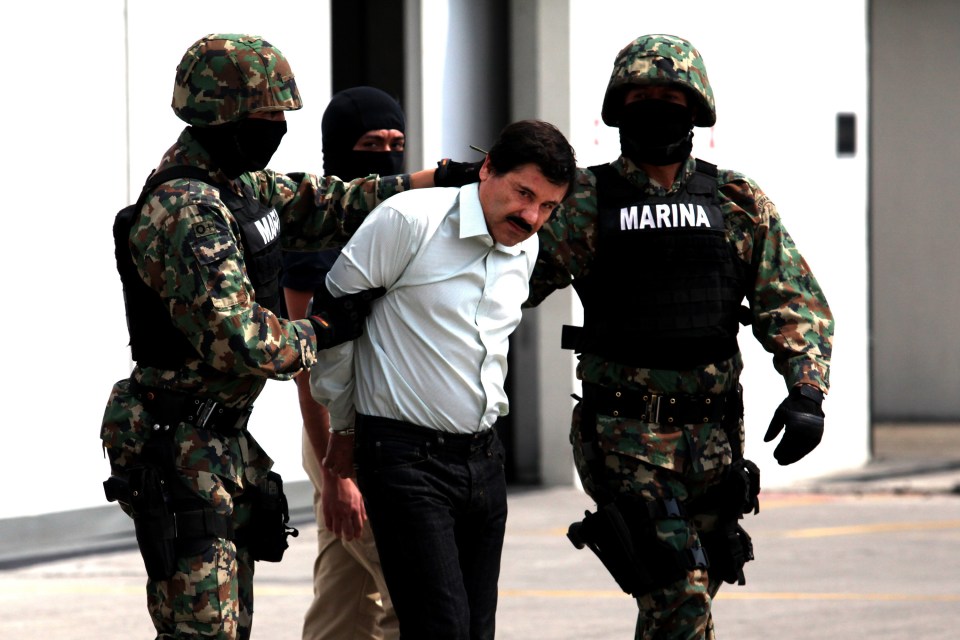 Joaquin 'El Chapo' Guzman was arrested in 2014