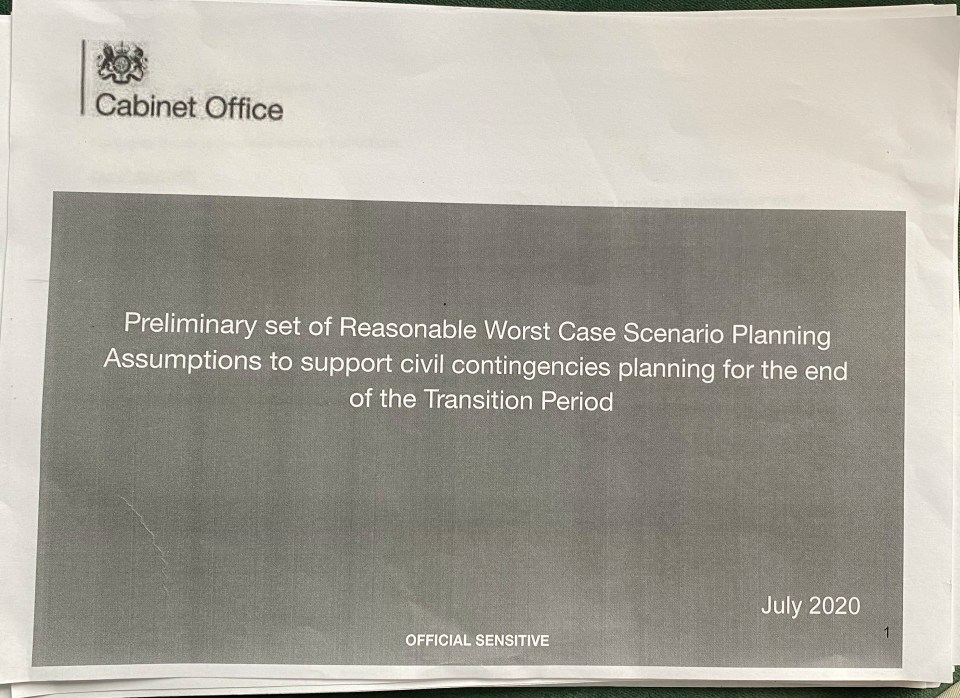 The leaked document warns what may happen in a perfect storm of a winter second wave of Covid-19 coinciding with a No Deal Brexit